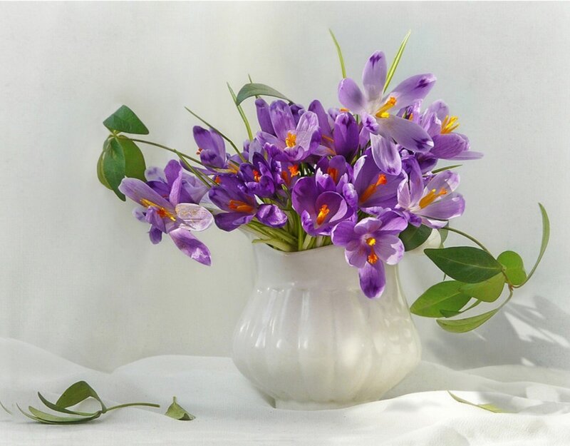 Purple Crocuses in Vase — Serene, Spring, Photograph