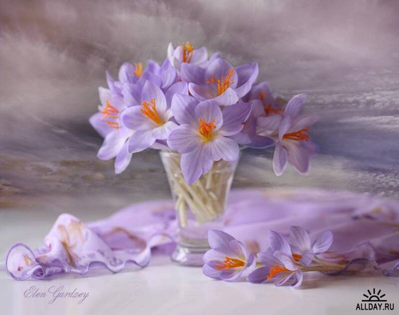 Purple Crocuses in Vase — Serene, Spring