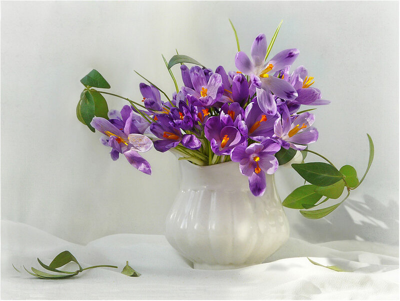 Purple Crocuses in Vase