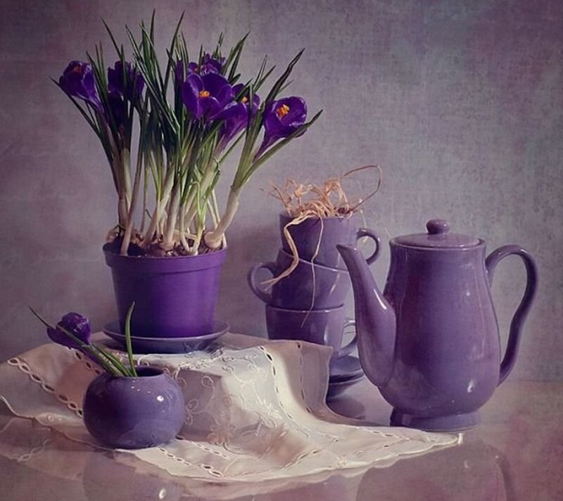 Purple Crocuses in Vases