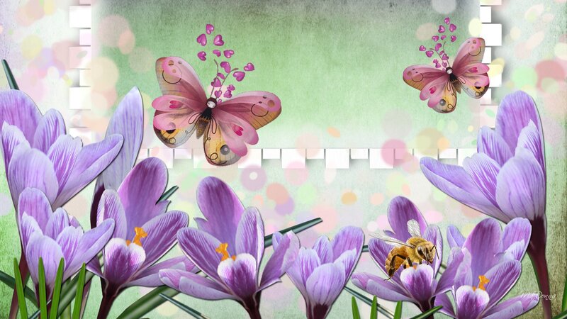 Purple Crocuses with Insects