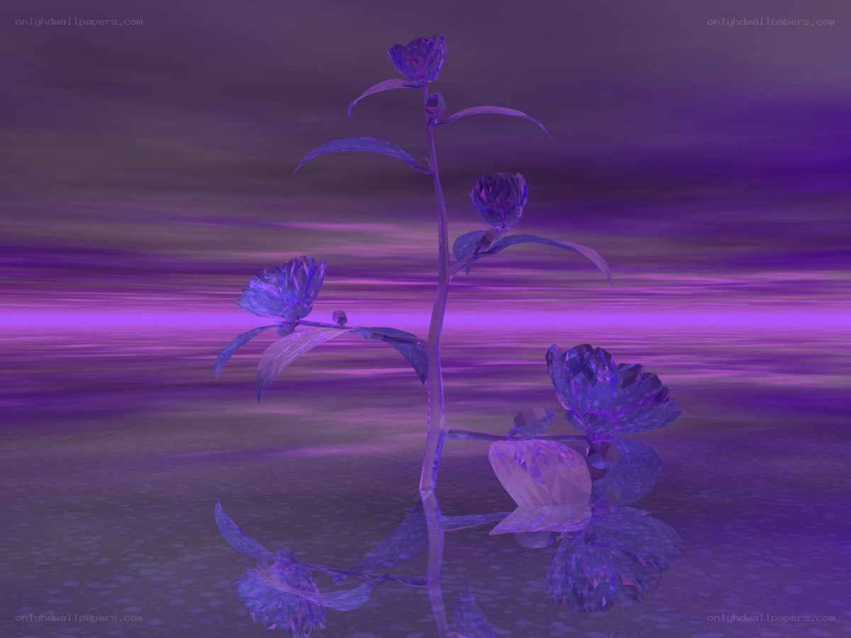 purple crystal flower