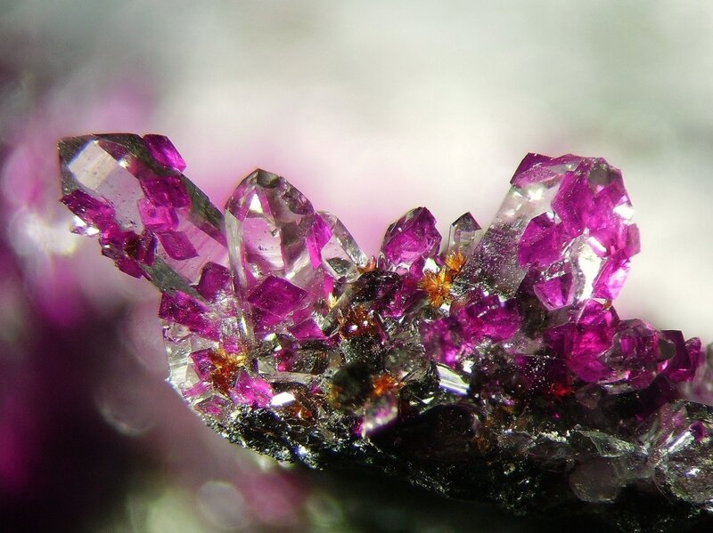 Purple Crystals on Rock