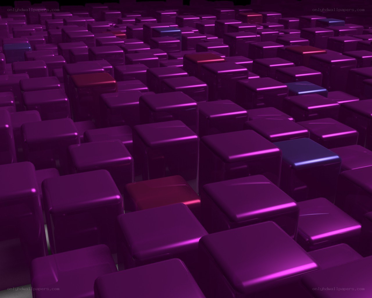 purple cubes in a grid