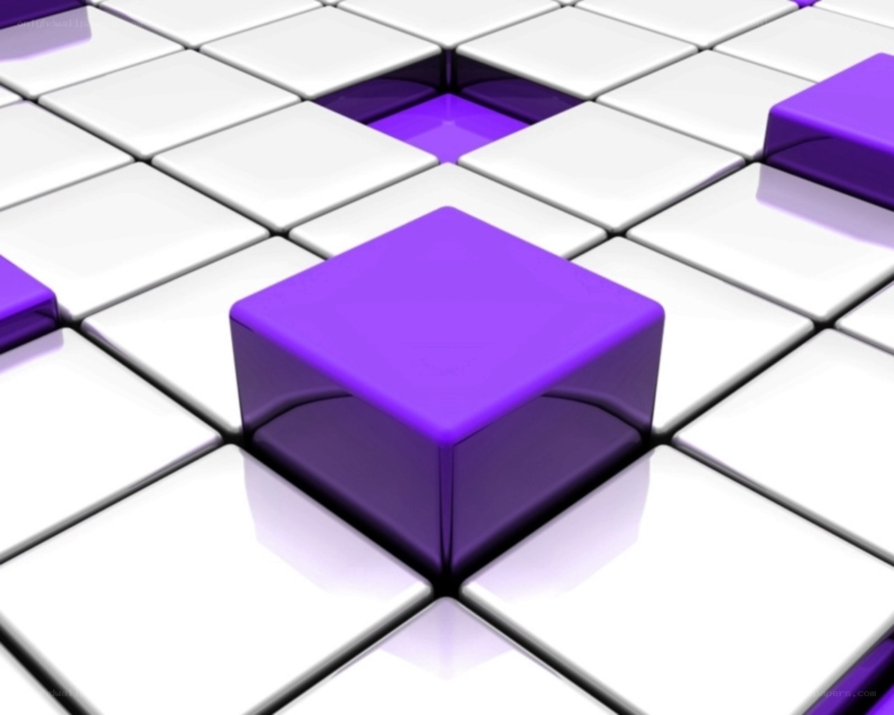 purple cubes on white grid