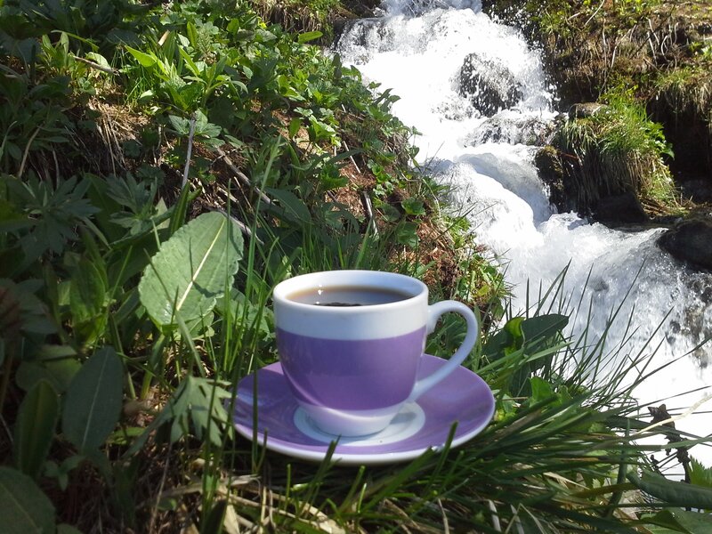 Purple Cup on Grass