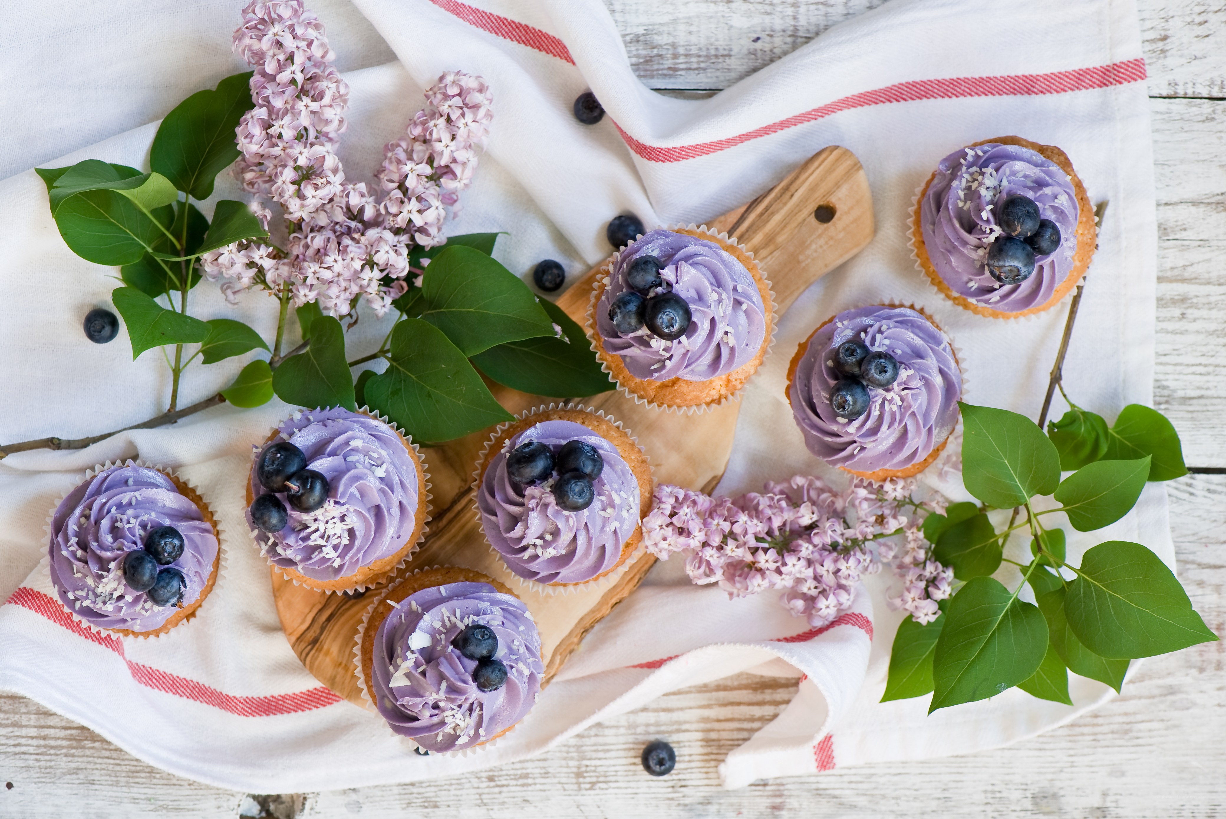 Purple cupcakes with blueberries