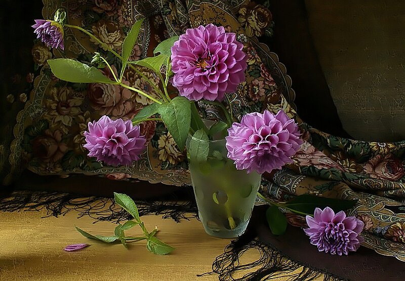 Purple Dahlias in Vase