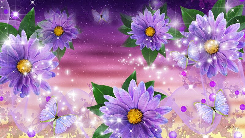 Purple Daisies and Butterflies — Magical