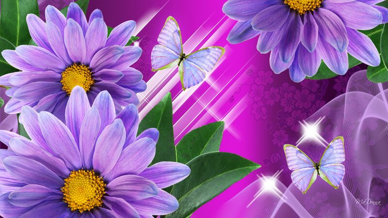 Purple Daisies and Butterflies