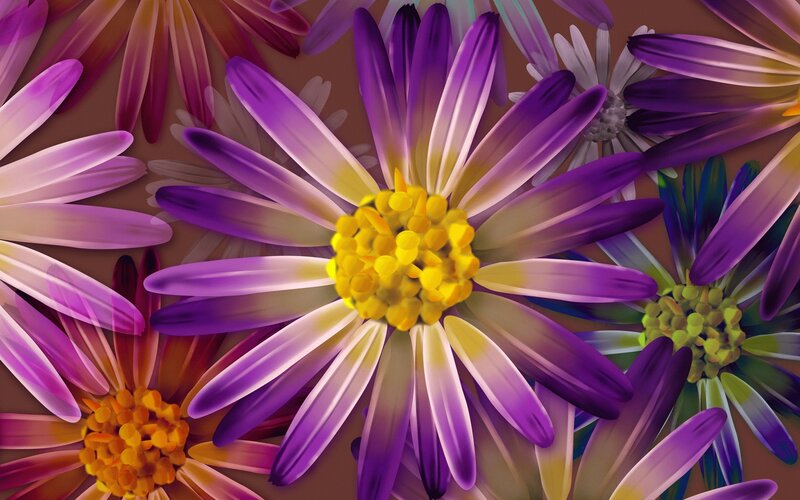 Purple Daisies in Bloom — Vibrant, Digital Art