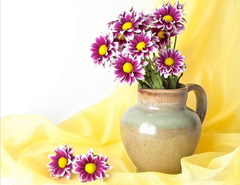 Purple Daisies in Vase — Yellow, Serene