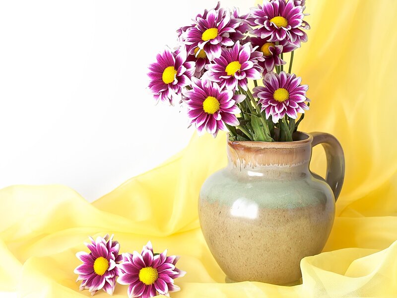 Purple Daisies in Vase — Yellow