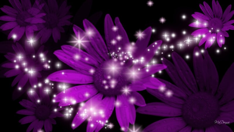 Purple Daisies with Sparkles — Magical