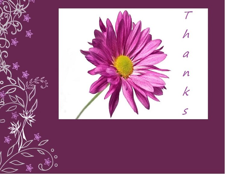 Purple Daisy Flower — Grateful