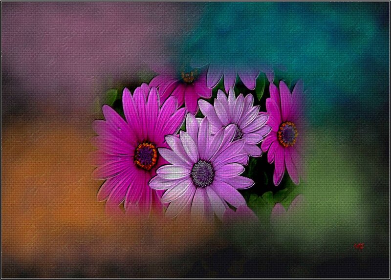Purple Daisy Flowers — Vibrant, Digital Art