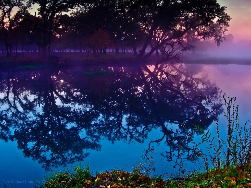 Purple dawn over a misty pond