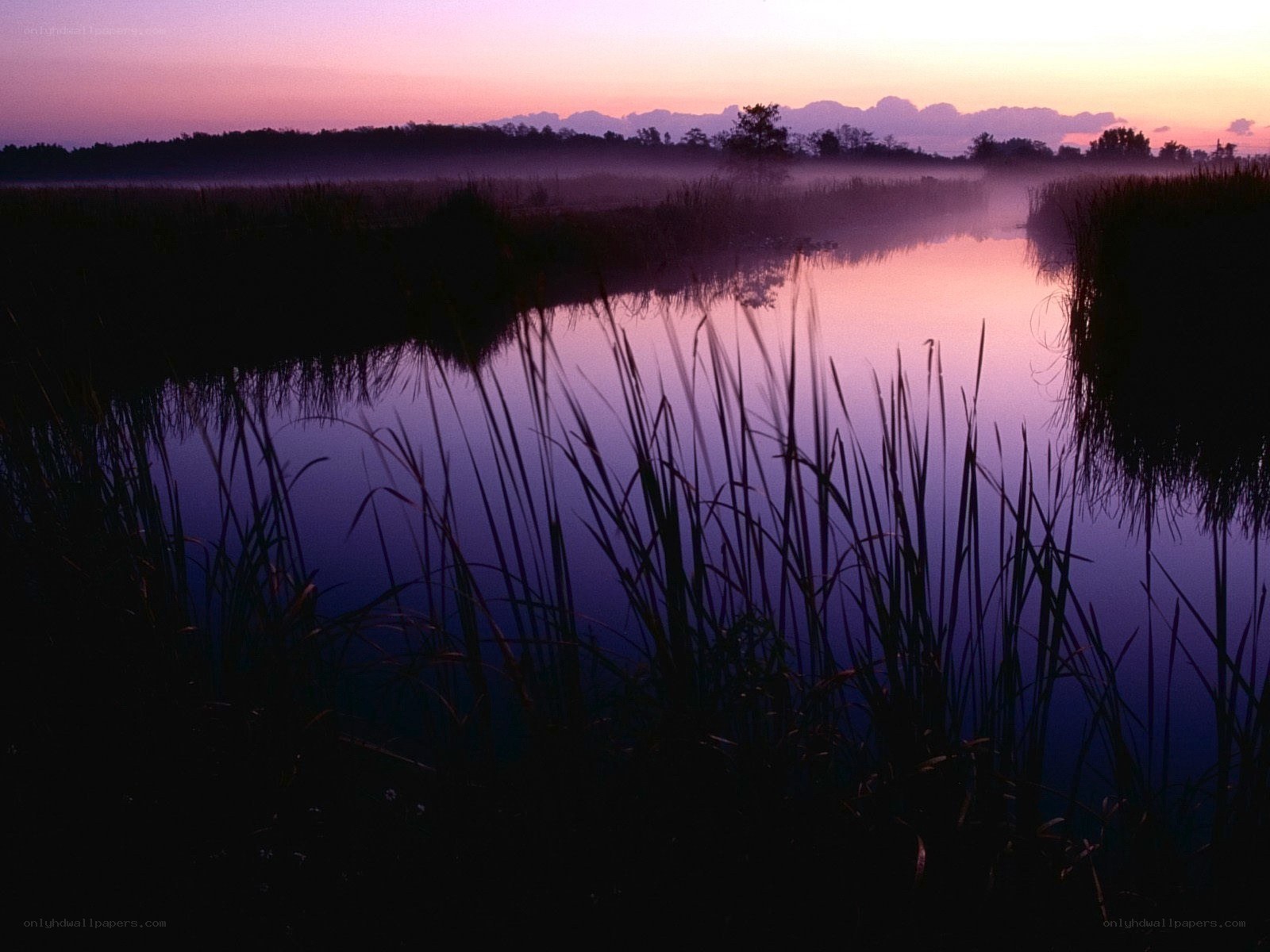 Purple dawn over misty marsh