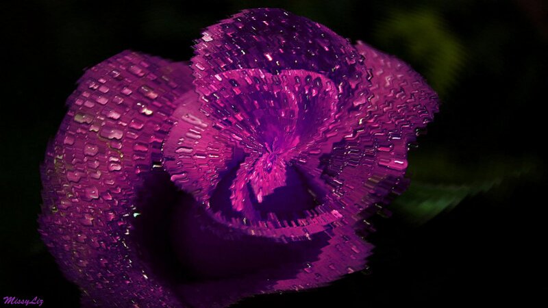 Purple Digital Flower
