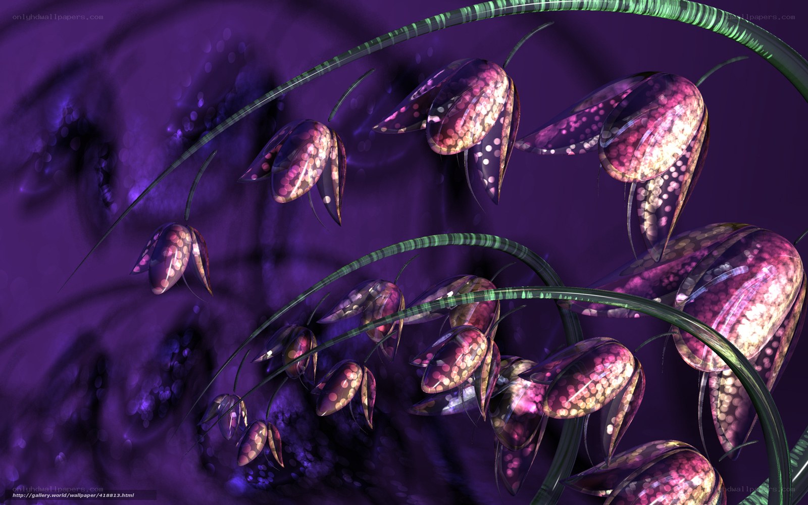 Purple digital flowers