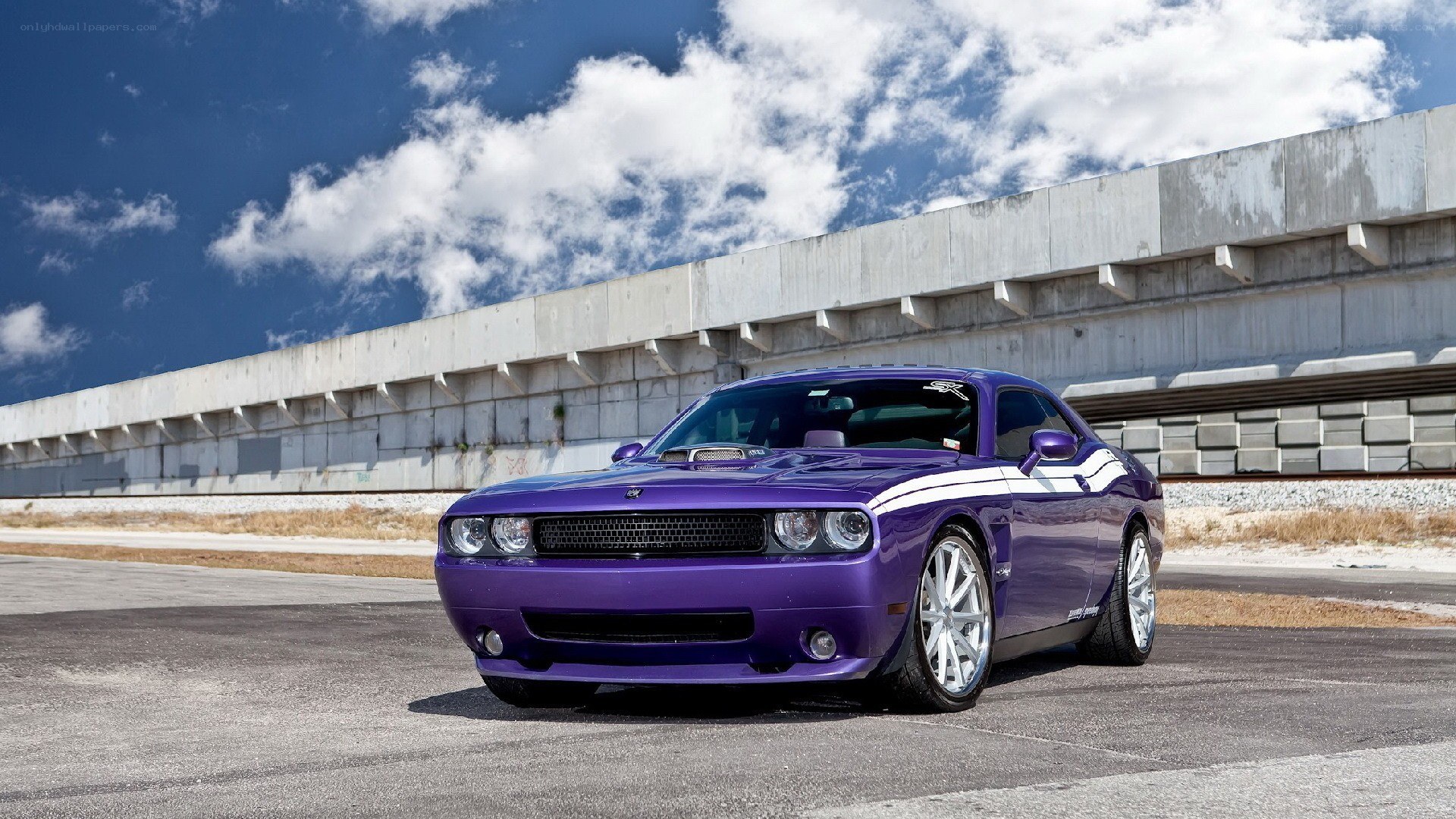 purple dodge challenger on track