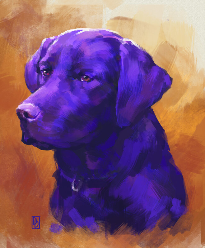 Purple Dog Portrait