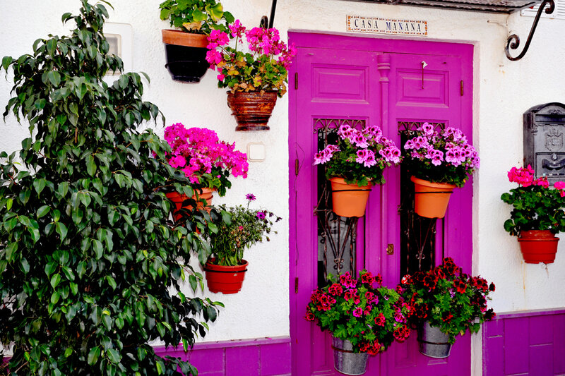Purple Door with Flowers