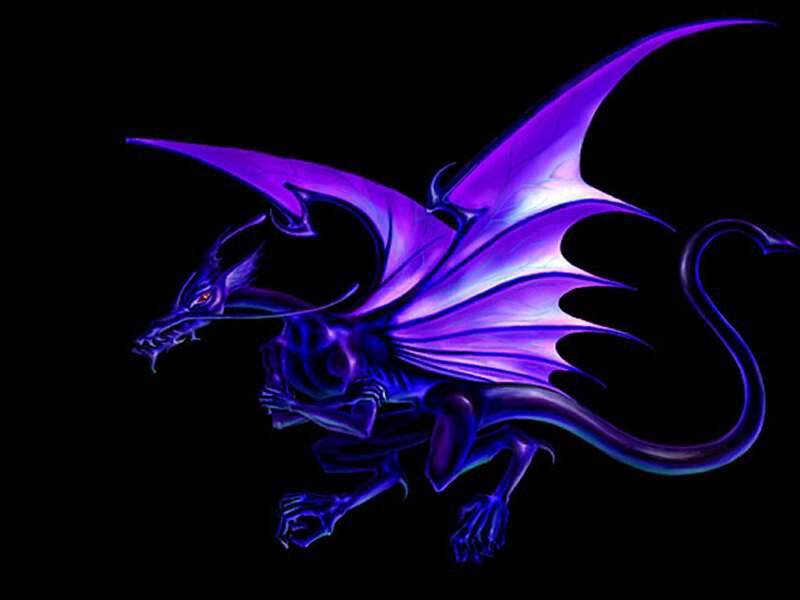 Purple Dragon — Dramatic
