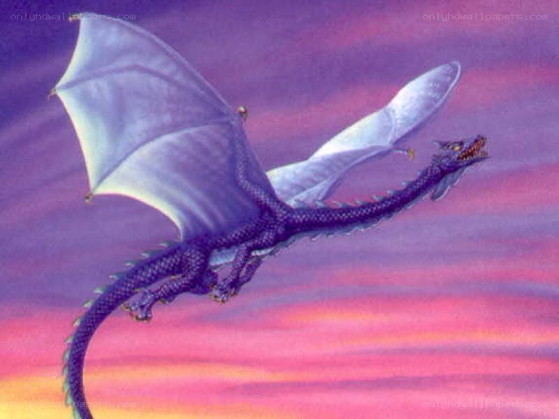 purple dragon flying at sunset