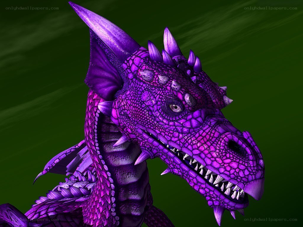 purple dragon head close-up