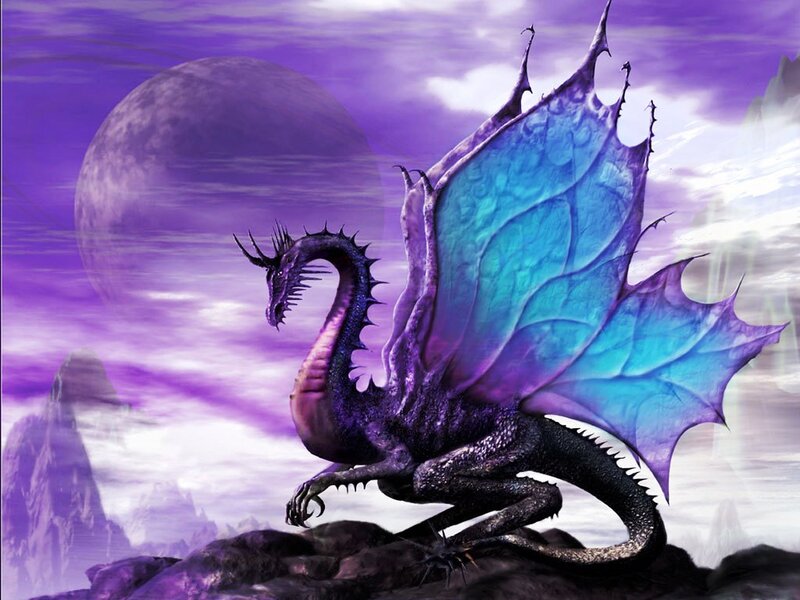 Purple Dragon on Rock