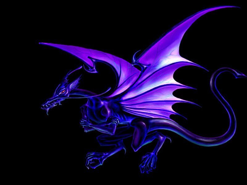 Purple Dragon