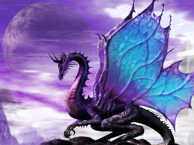 Purple Dragon with Blue Wings