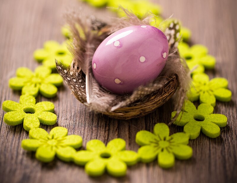 Purple Egg in Nest — Festive