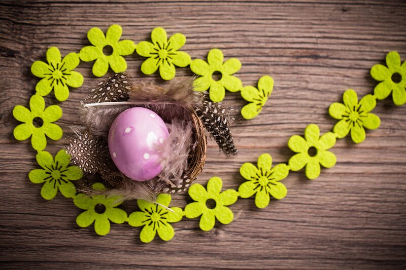 Purple Egg in Nest — Green