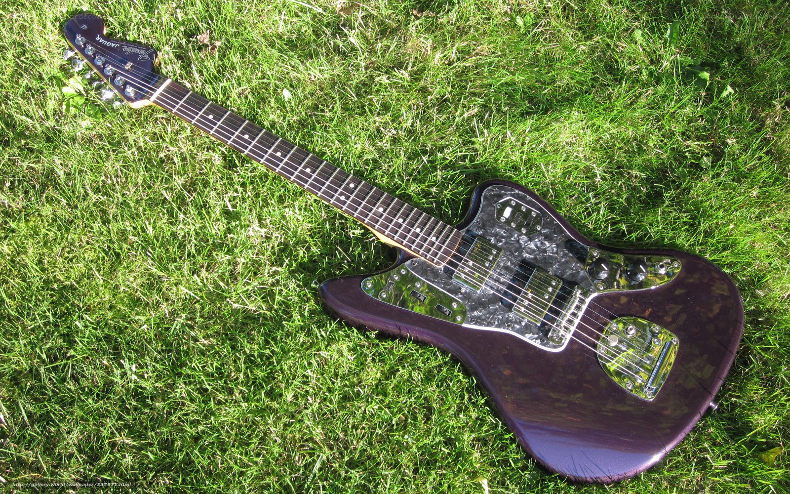 purple electric guitar on grass