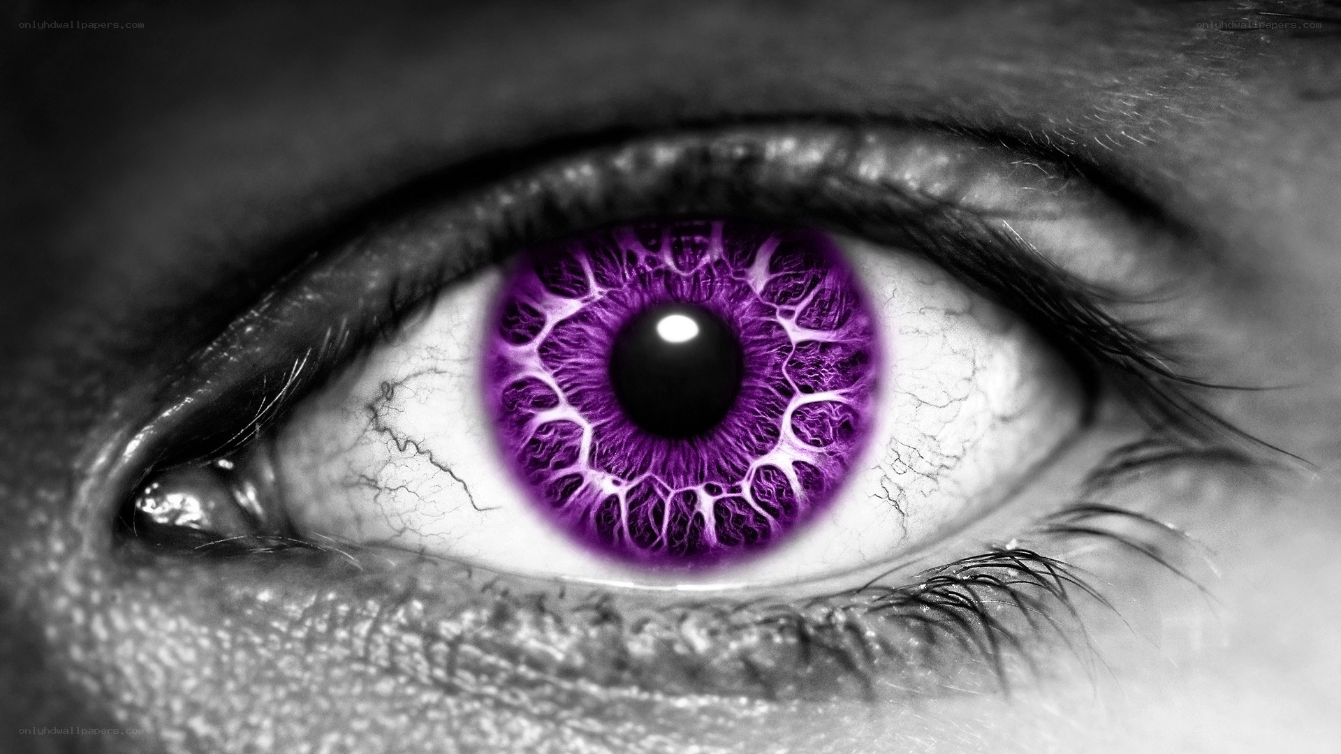 purple eye with black and white background