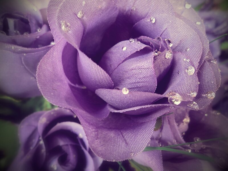 Purple Fabric Roses