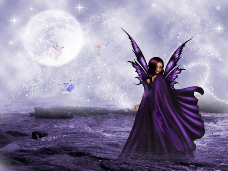 Purple Fairy on Rocks