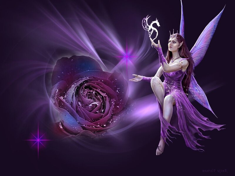 Purple Fairy with Rose — Fantasy