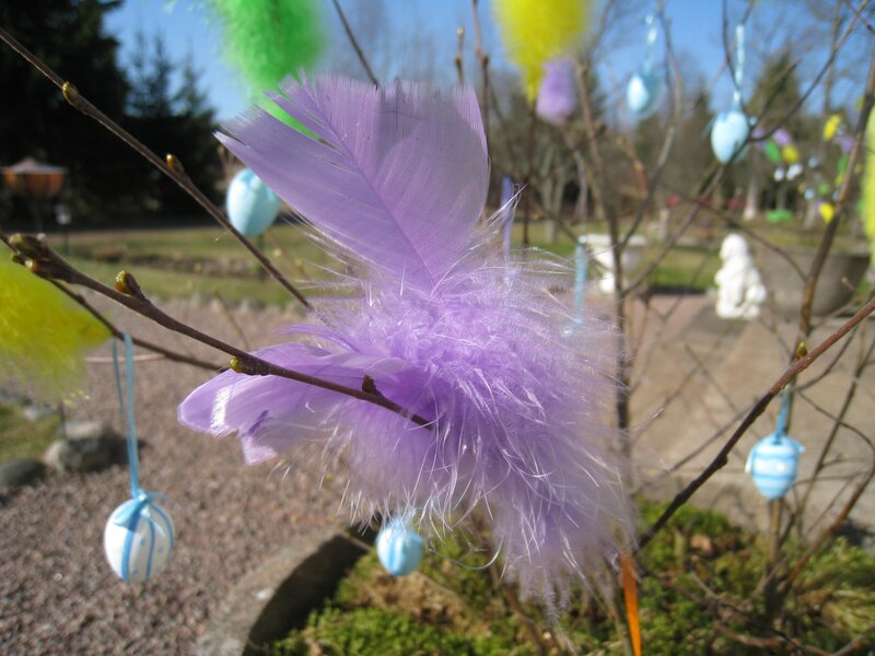 Purple Feather on Branch