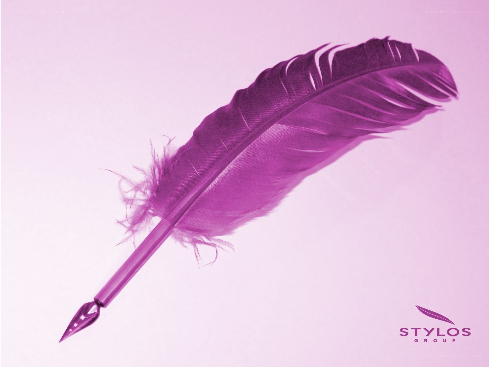 purple feather quill pen
