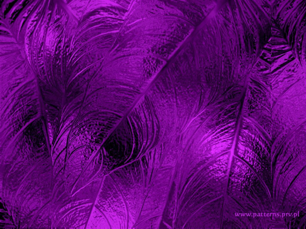 purple feather texture pattern