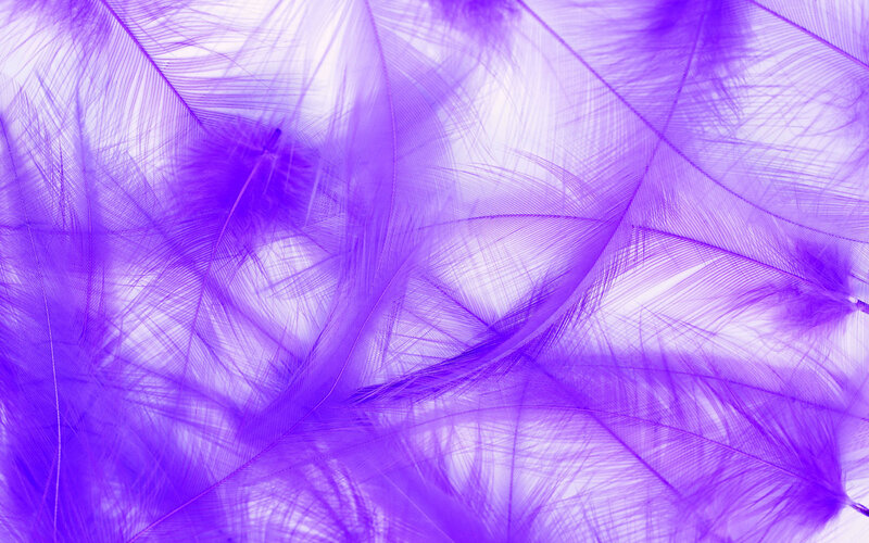 purple feather texture