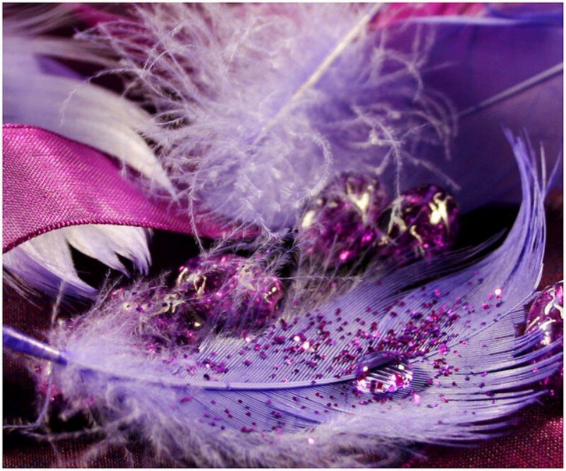 Purple Feathers with Glitter