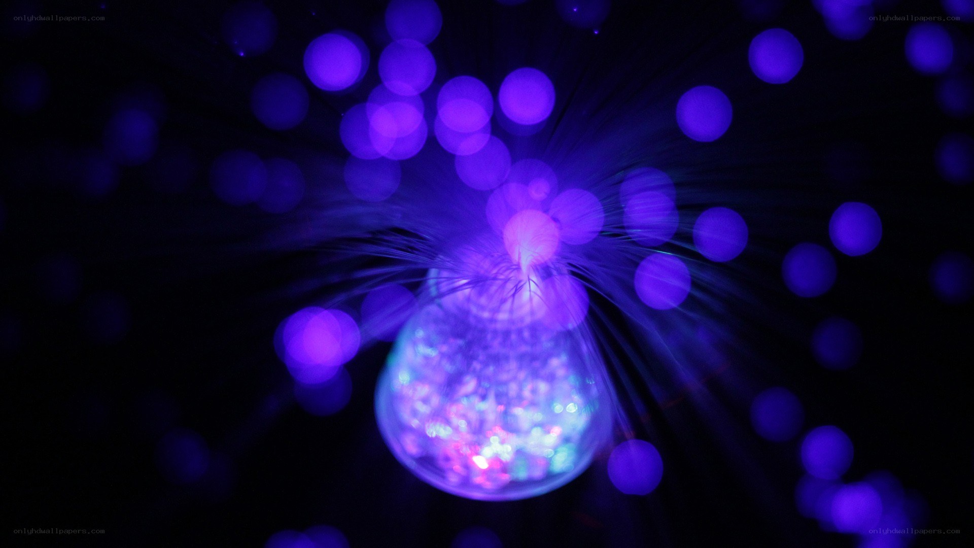 purple fiber optic light display