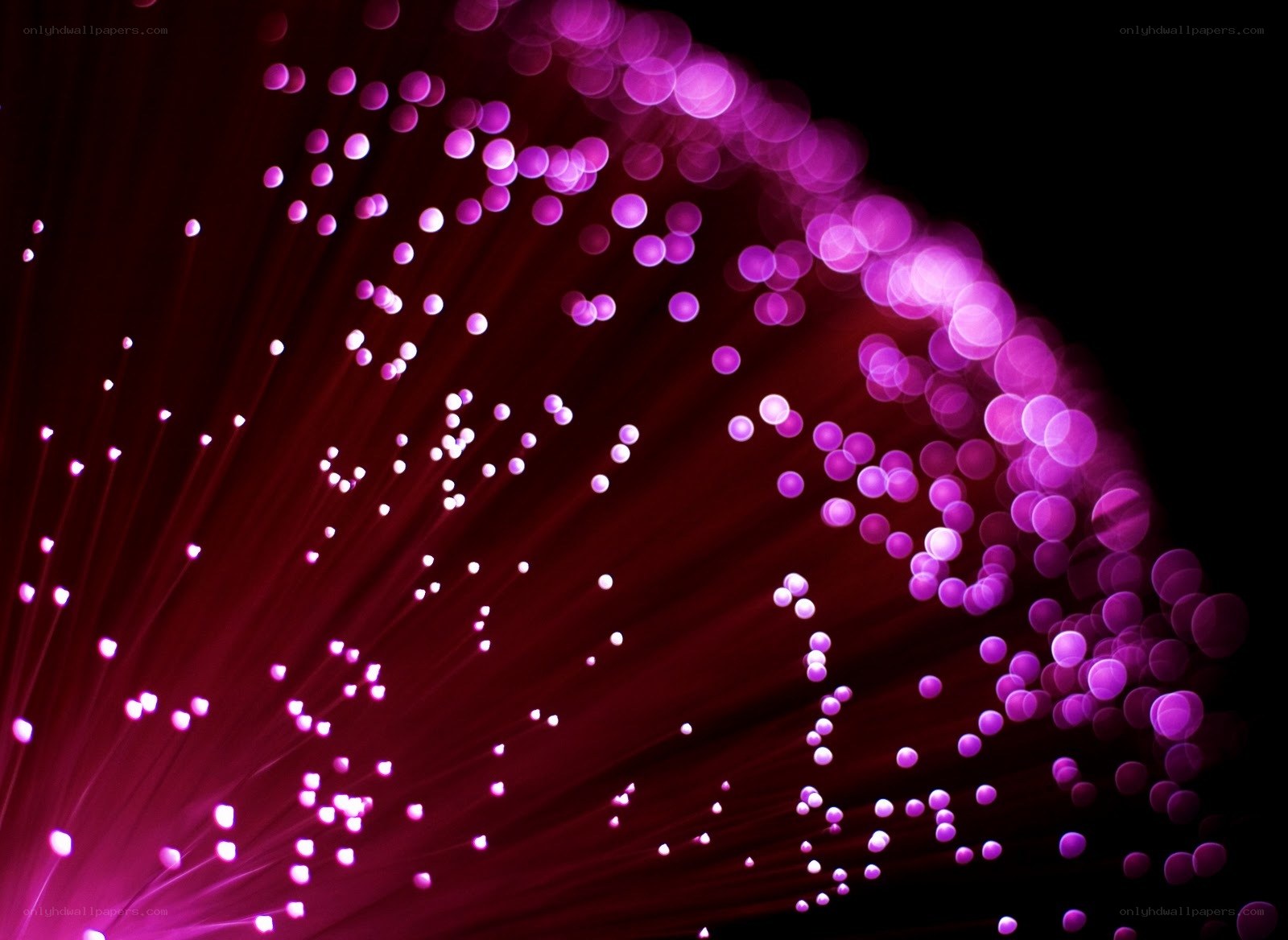 purple fiber optic lights