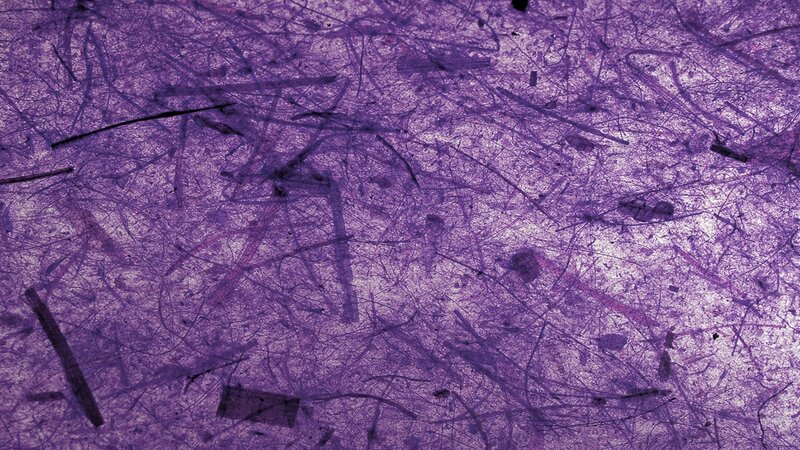 Purple Fibrous Material