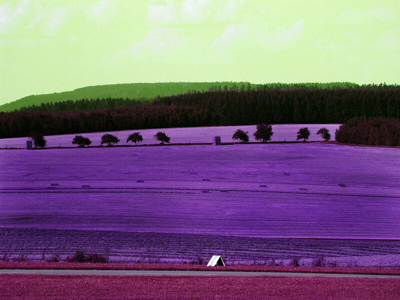Purple Field Landscape