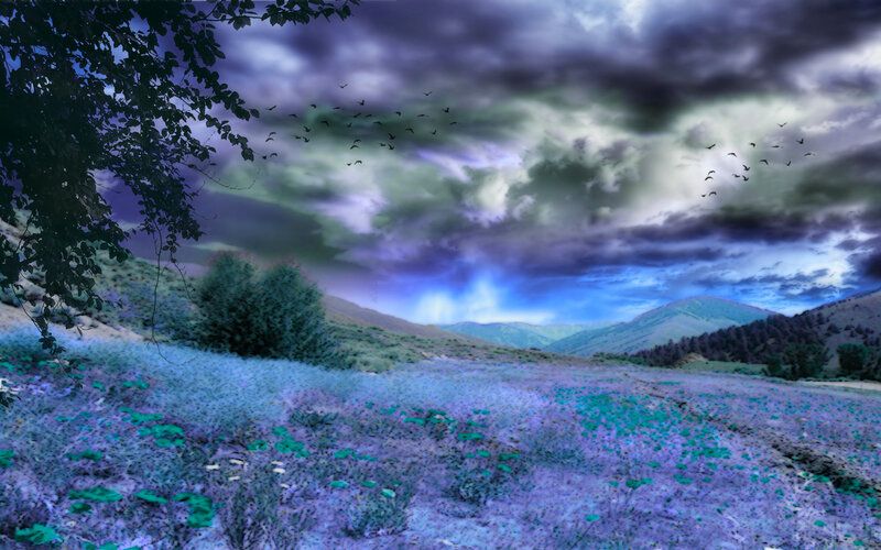 Purple Field with Birds